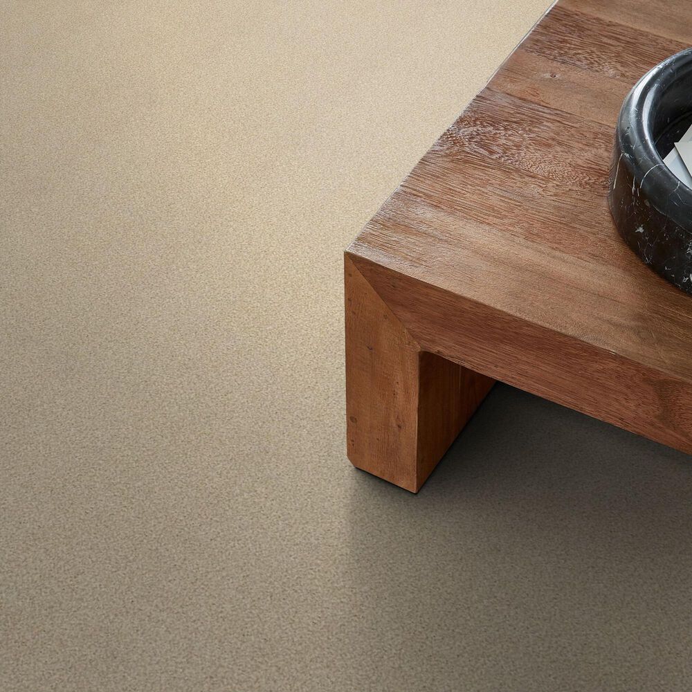 Shaw Tonal Comfort Ii Carpet in Sun Kissed, , large
