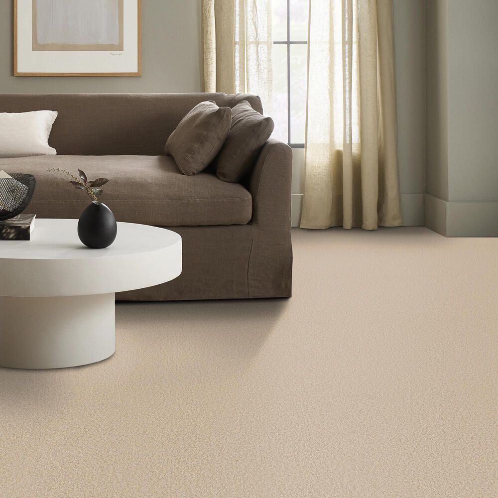 Anderson Tuftex Wyndham Estate Carpet in Risotto, , large