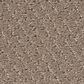 Shaw Simply Classic Carpet in Cameo, , large