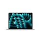 Apple MacBook Air 13-inch Laptop M4 chip - 10 Core CPU - 10 Core GPU - 16GB Memory - 512GB SSD - Silver (Latest Model), , large