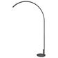 Lite Source Guerra LED Arch Floor Lamp in Black, , large