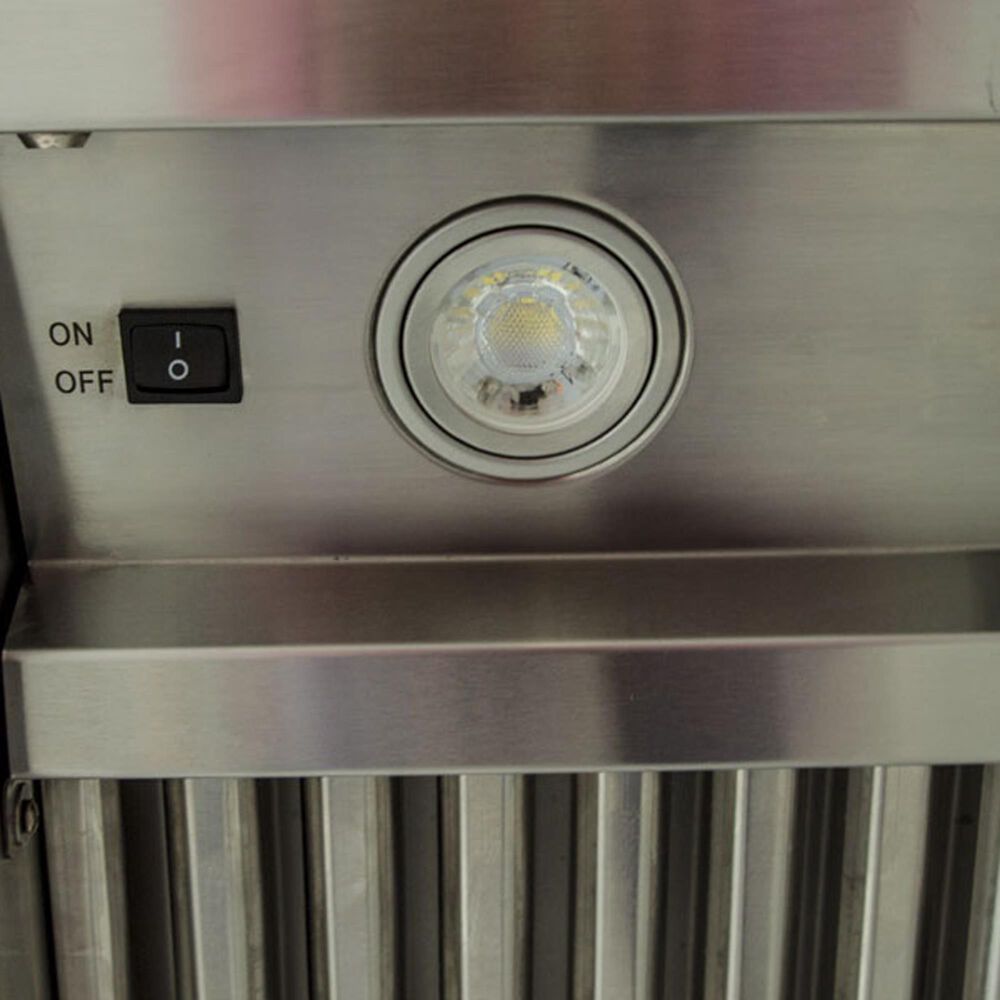 Blaze 42&quot; Vent Outdoor Hood in Stainless Steel, , large