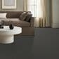 Anderson Tuftex Expressive Carpet in In The Shade, , large