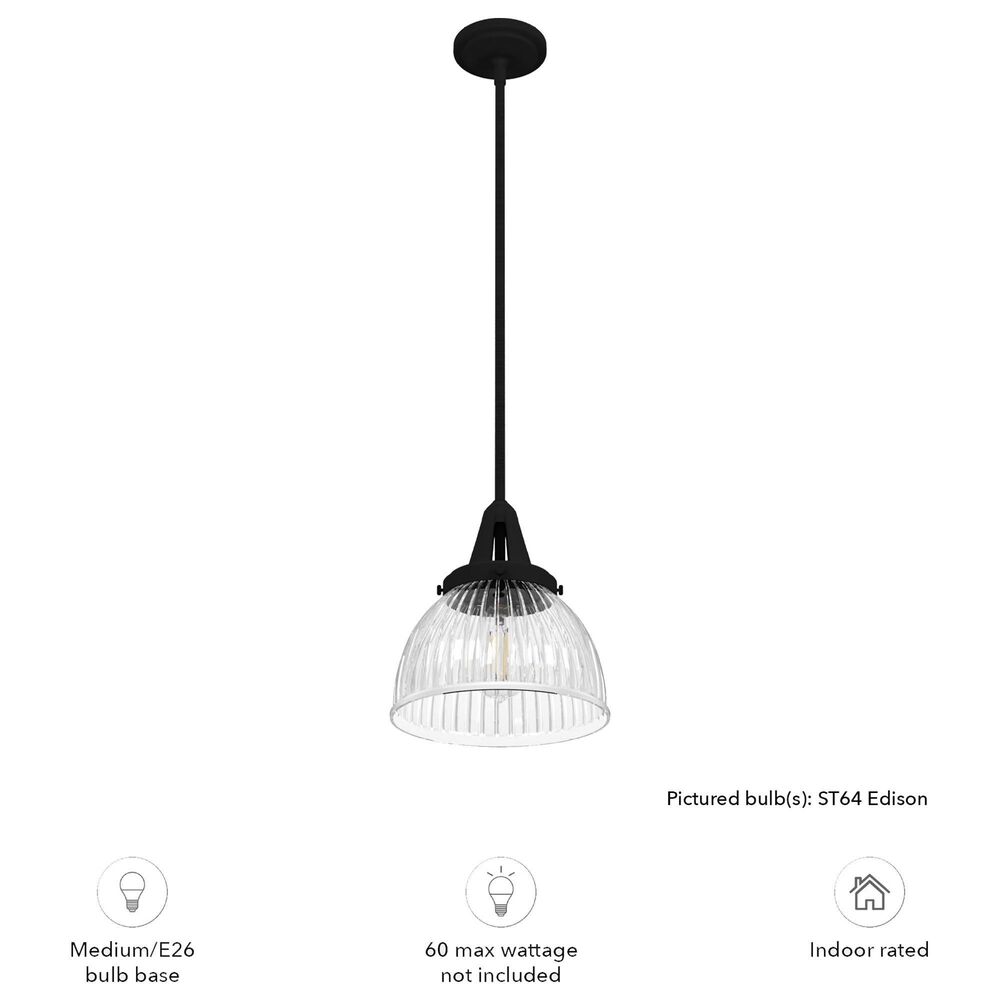 Hunter Cypress Grove 10&quot; 1-Light Pendant in Natural Iron, , large