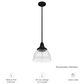 Hunter Cypress Grove 10" 1-Light Pendant in Natural Iron, , large