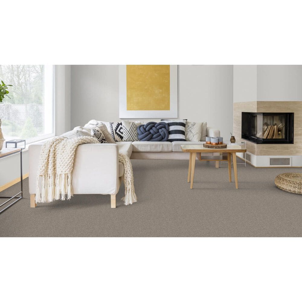 Dixie Home Bella Carpet in Greyhound, , large