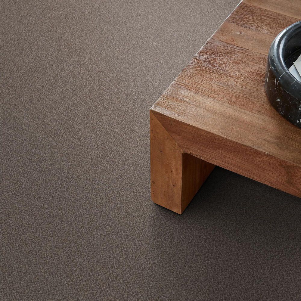 Shaw Truspirit Ii Carpet in Cobble Drive, , large