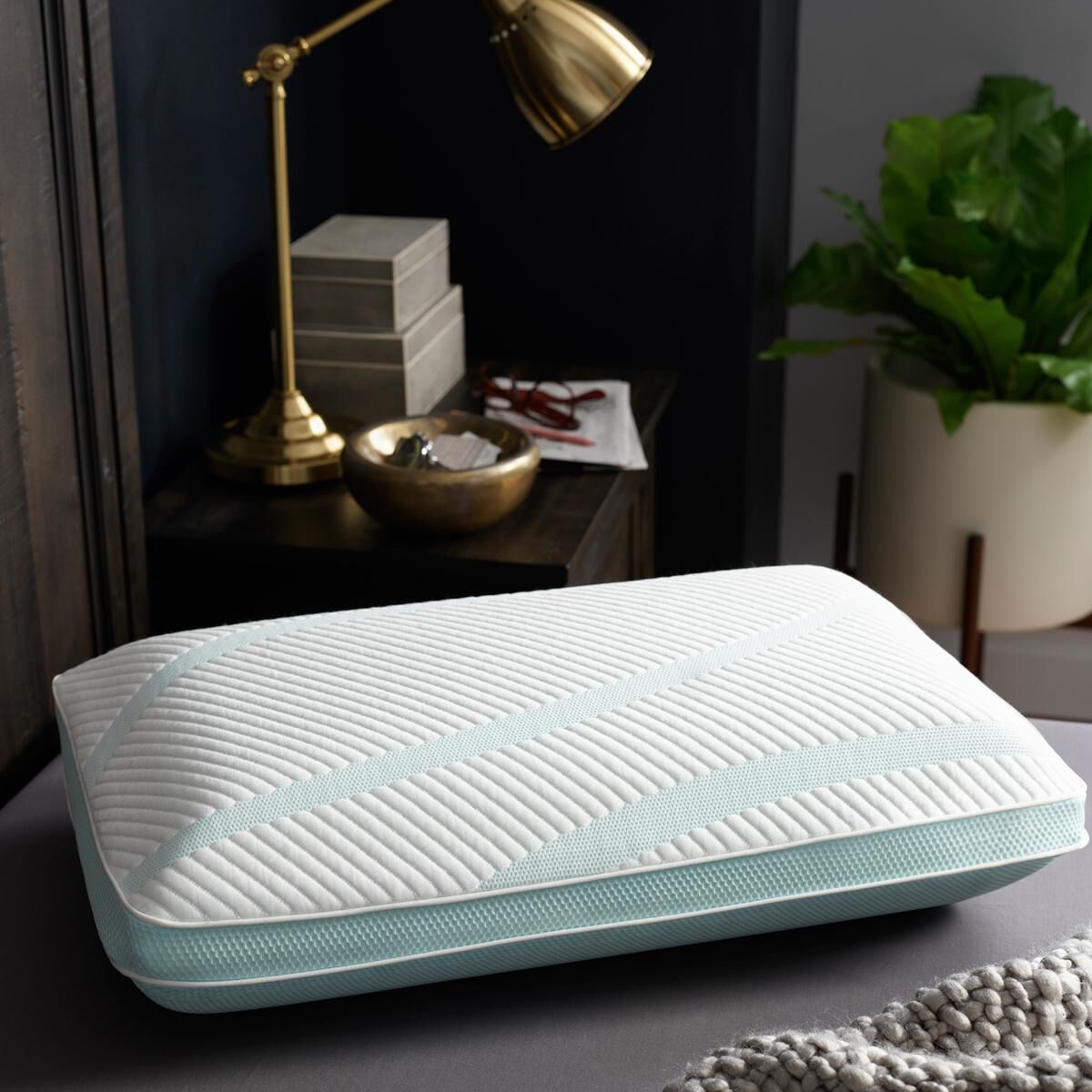 Tempur pedic pro support cool touch pillow online