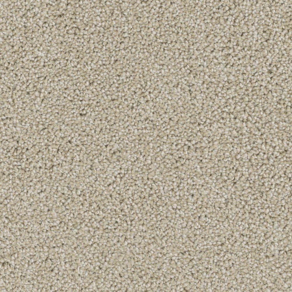 Phenix Lido Carpet in Day Tour, , large