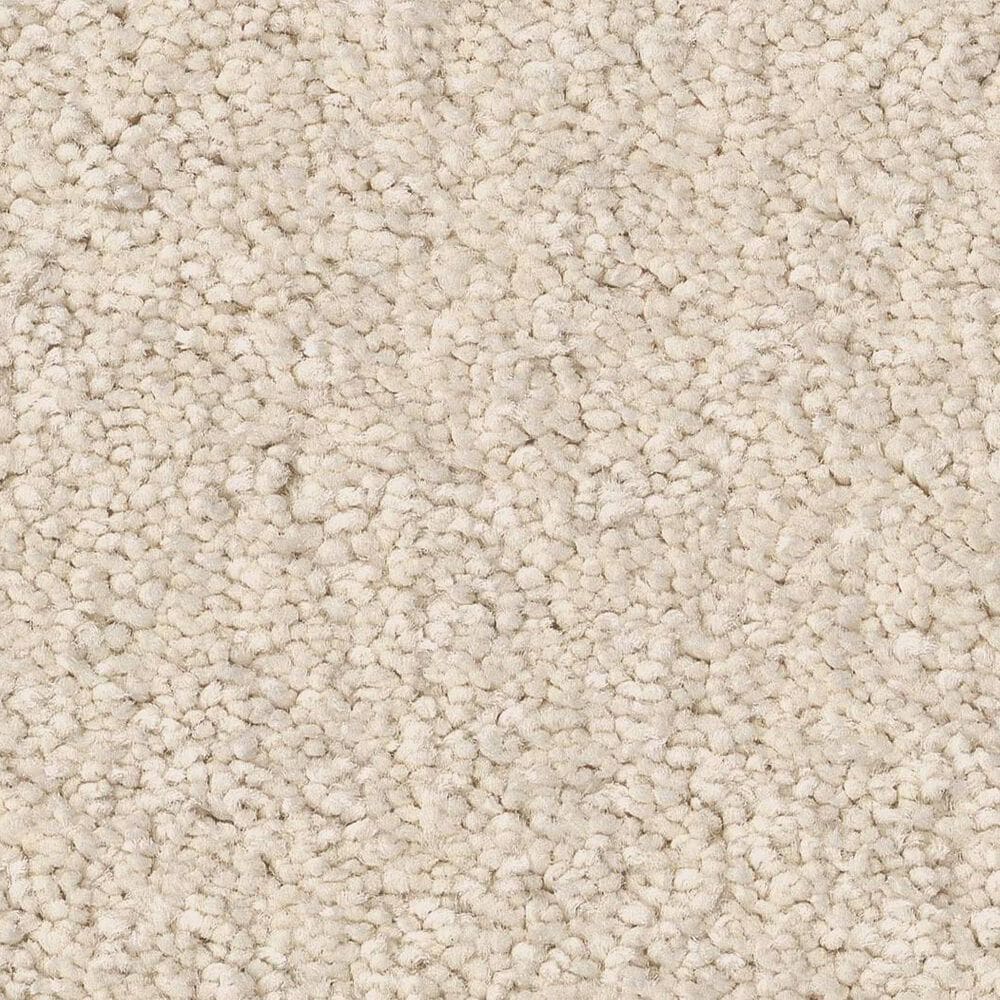 Anderson Tuftex Enduring Charm Carpet in Angora, , large