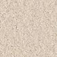 Anderson Tuftex Enduring Charm Carpet in Angora, , large