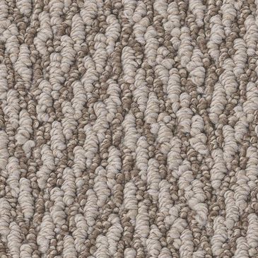 Anderson Tuftex Always Natural Carpet in Fossil, , large