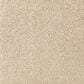 Mohawk Windsor Gardens II Carpet in Beach Pebble, , large