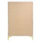 Pacific Landing Kendall 5-Drawer Chest in Gold and White, , large