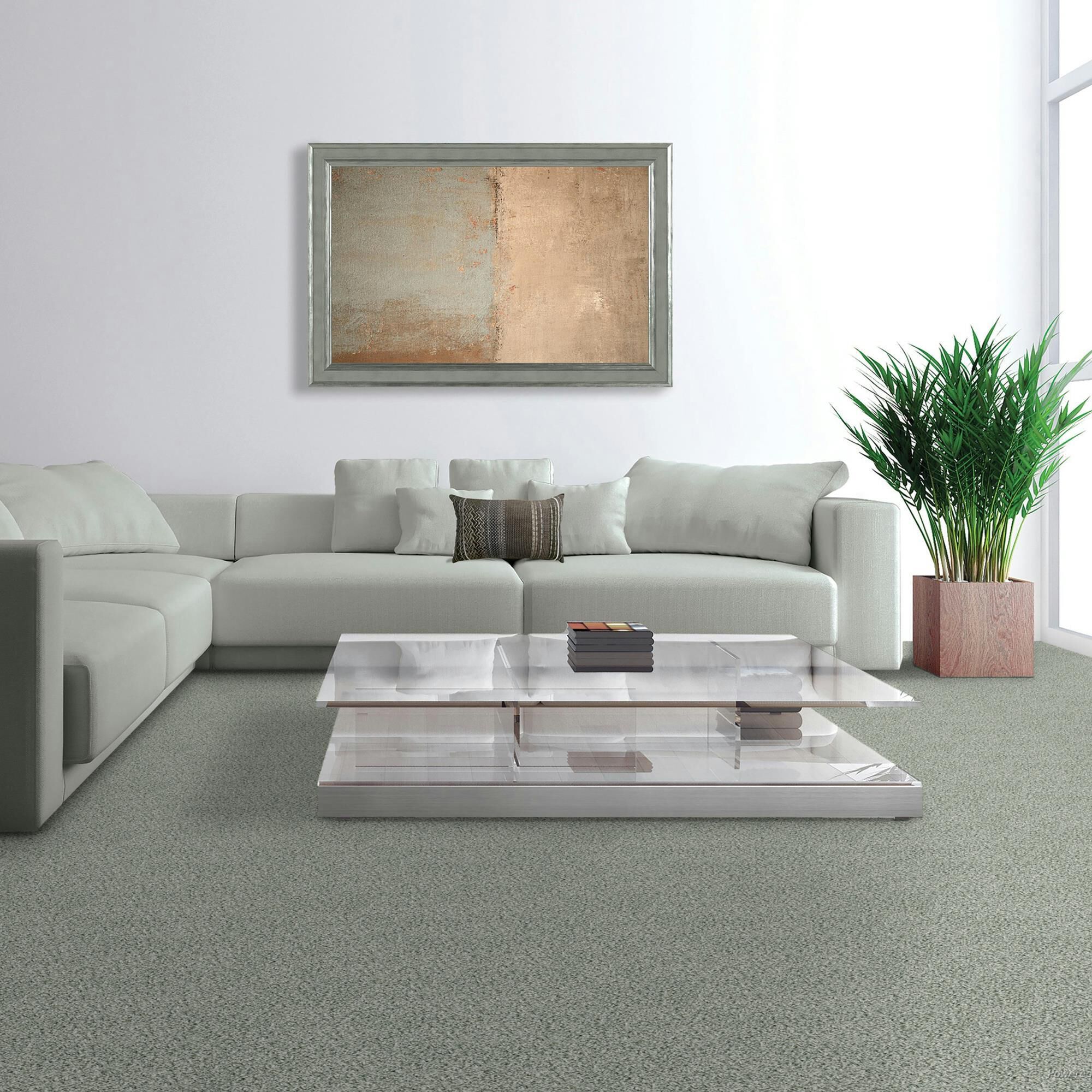 Mohawk Innovative Comfort I Carpet in Parade