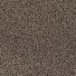 Mohawk Refined Structure Carpet in Ancestral, , large