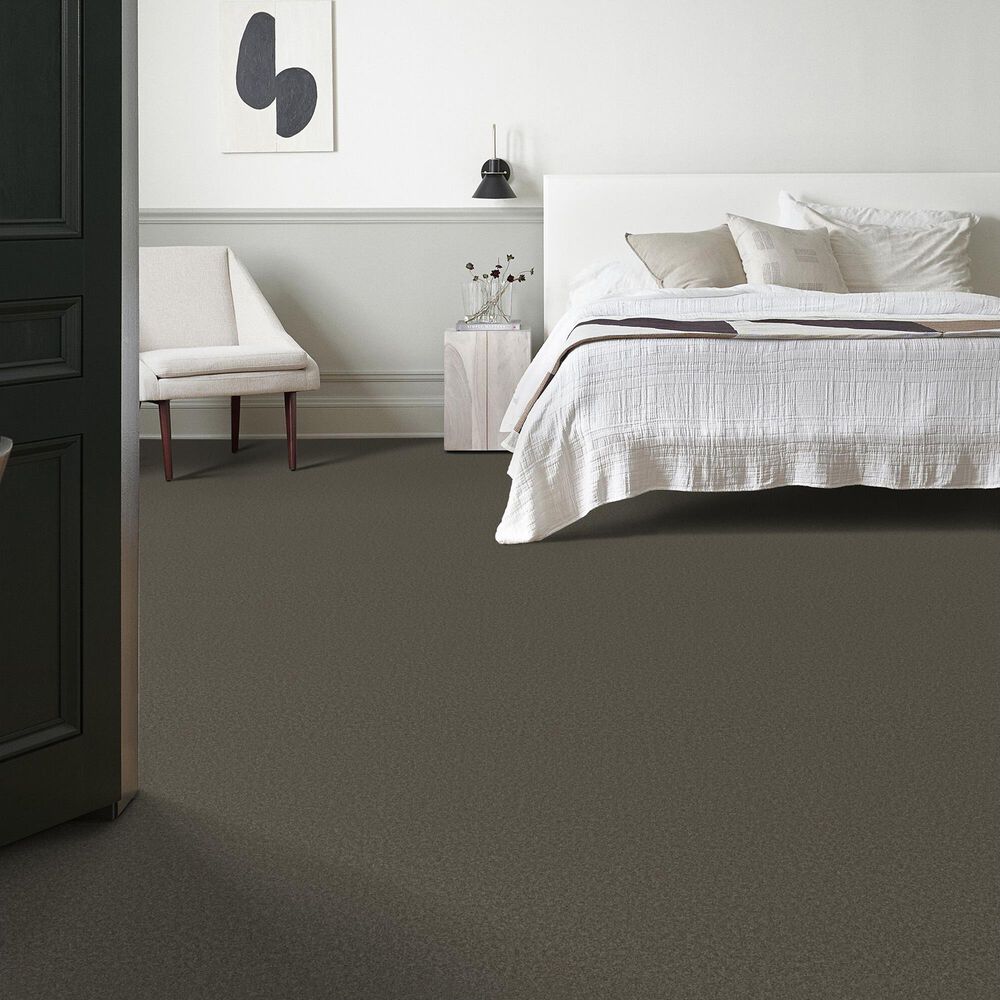 Anderson Tuftex Elegant Beauty Carpet in Highrise, , large