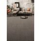 Dream Weaver Gold Standard II Carpet in Pewter, , large