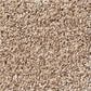 Shaw Foundations Take The Floor Tonal I Carpet in Sienna, , large