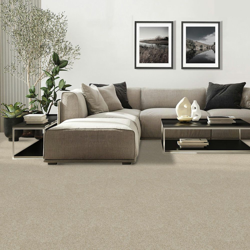 Mohawk Diffurent Choice II Carpet in London Fog, , large