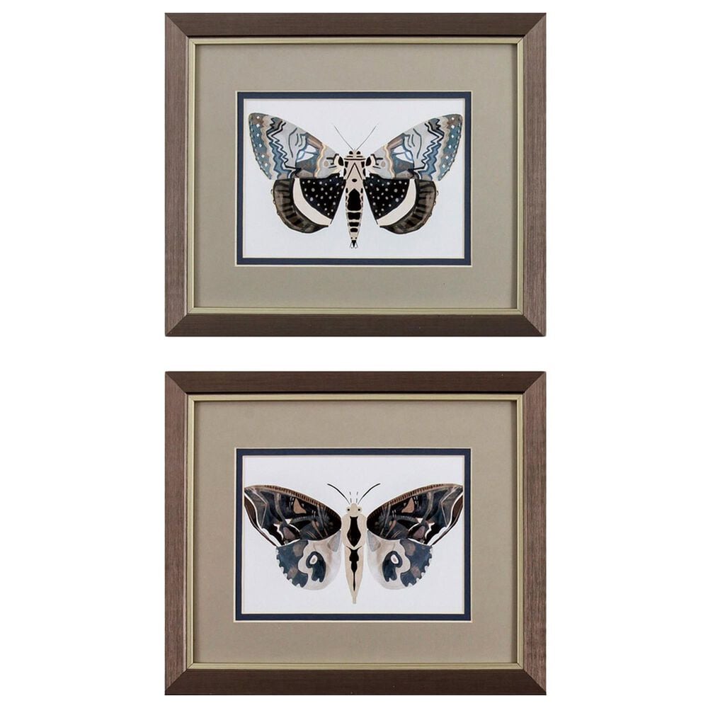 Propac Neutral Moth Wall Art in Brown (Set of 2), , large