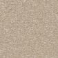Shaw Awaken Spirit II 12" Carpet in Windfresh, , large