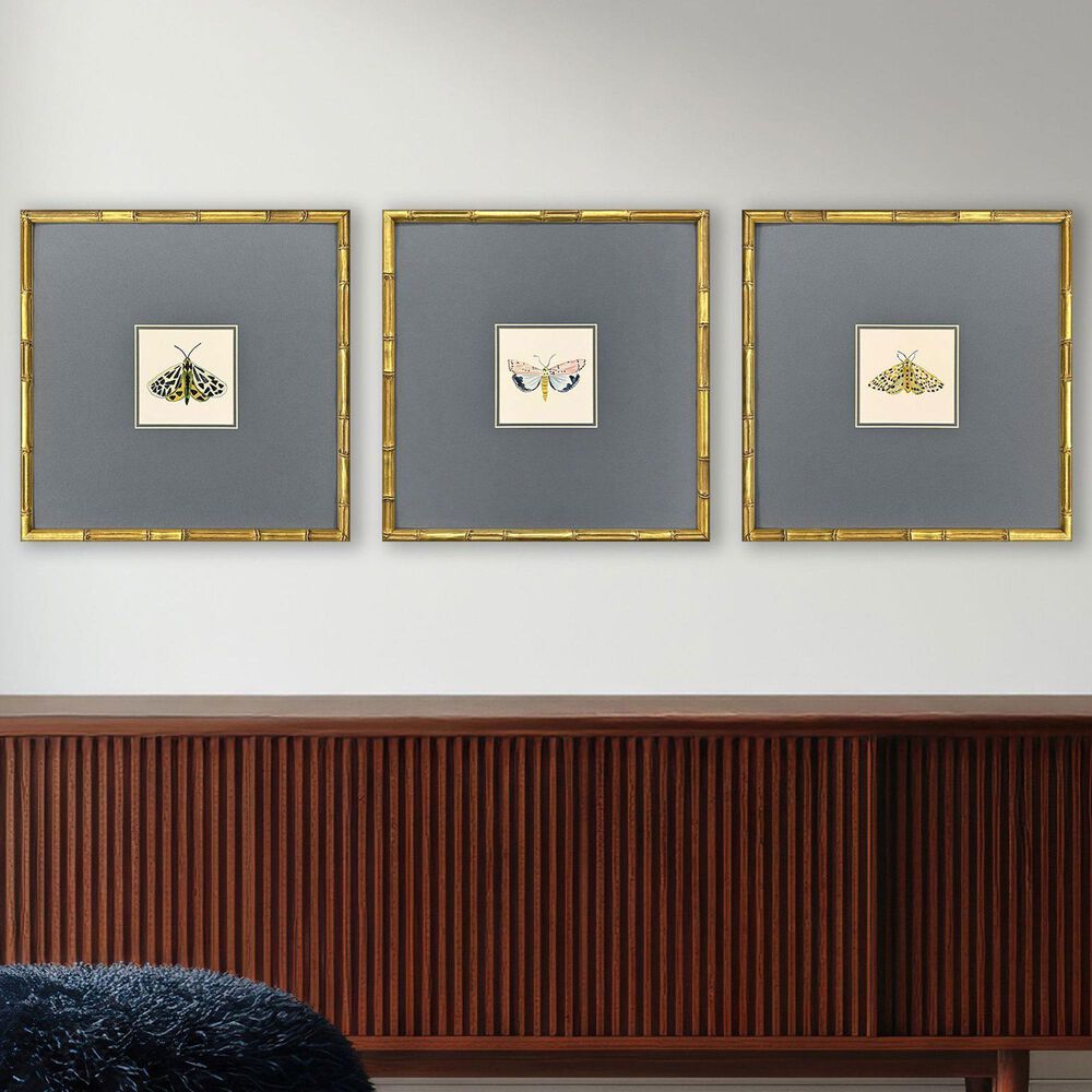 Paragon 17" x 17" Pastel Moths I Wall Art in Green (Set of 3), , large