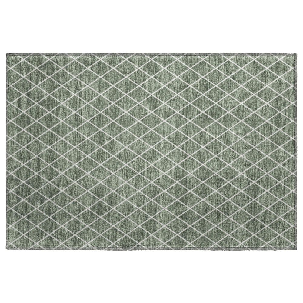 Dalyn Rug Company The Reserve TR15 Basil 1"8" x 2"6" Indoor/Outdoor Area Rug, , large