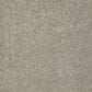 Shaw Keen Senses I Carpet in Mocha, , large
