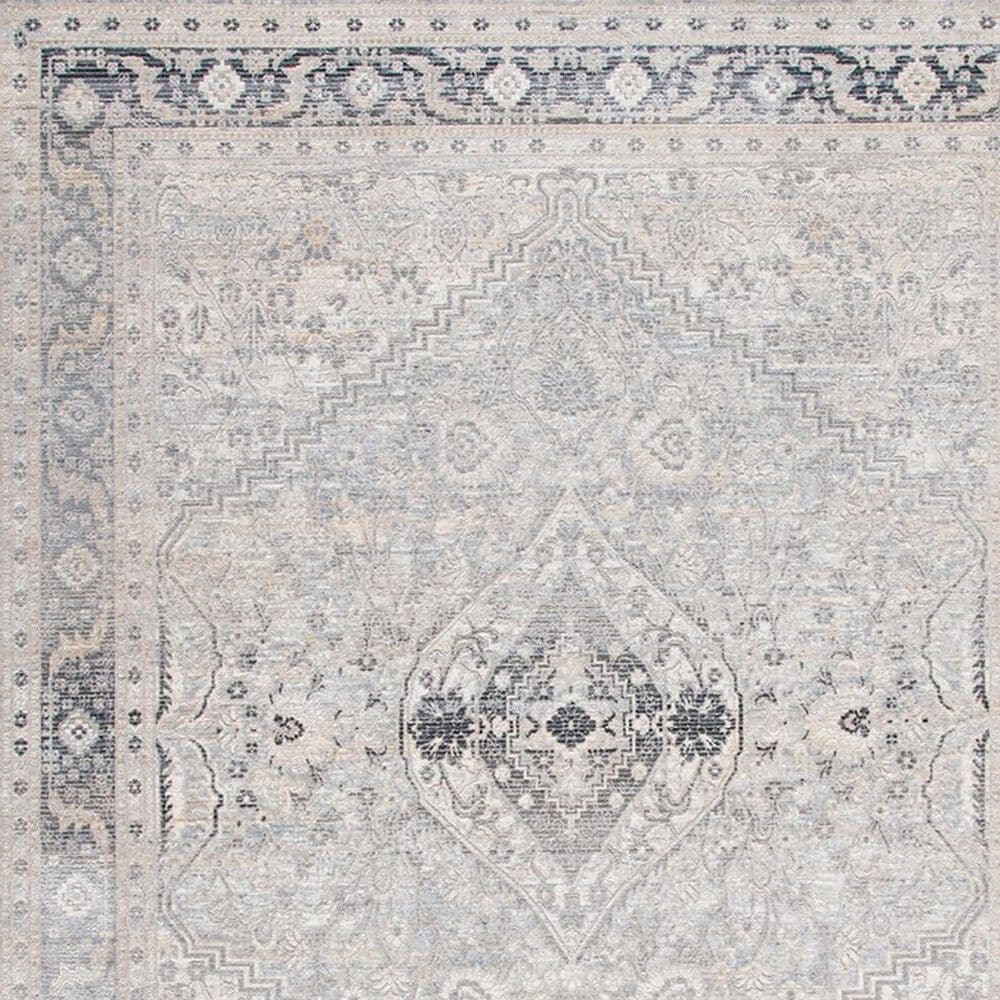 Safavieh Dream DRM411F 4&#39; x 6&#39; Grey and Ivory Area Rug, , large