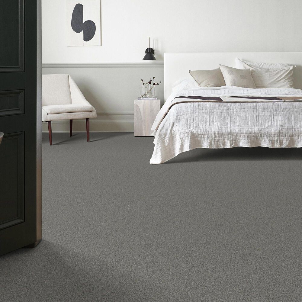 Anderson Tuftex Fabulous Carpet in Pixel, , large