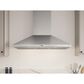 Zephyr Pro 42" Siena Wall Mount Range Hood in Stainless Steel, , large