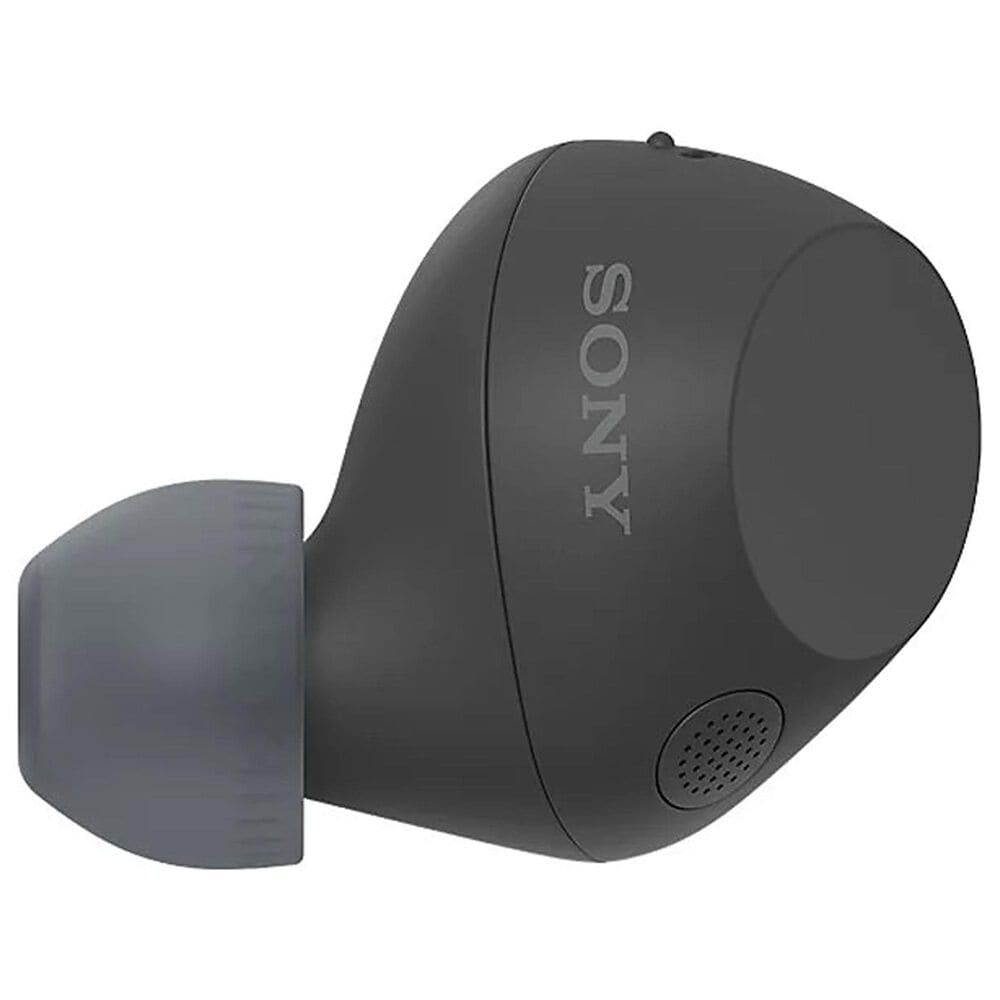 Sony True Wireless Noise Canceling Ear Buds in Black, , large