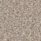 Shaw You Got This III Carpet in Subtle Clay, , large