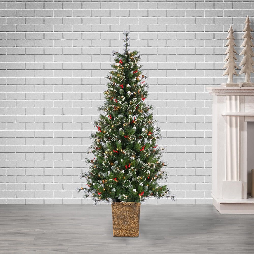 The Gerson Company 6&#39; Potted Pre-Lit Hard Needle Glazier Pine with White Lights in Green, , large