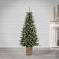 The Gerson Company 6" Potted Pre-Lit Hard Needle Glazier Pine with White Lights in Green, , large