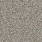 Anderson Tuftex Cypress Falls Carpet in Silver Strand, , large