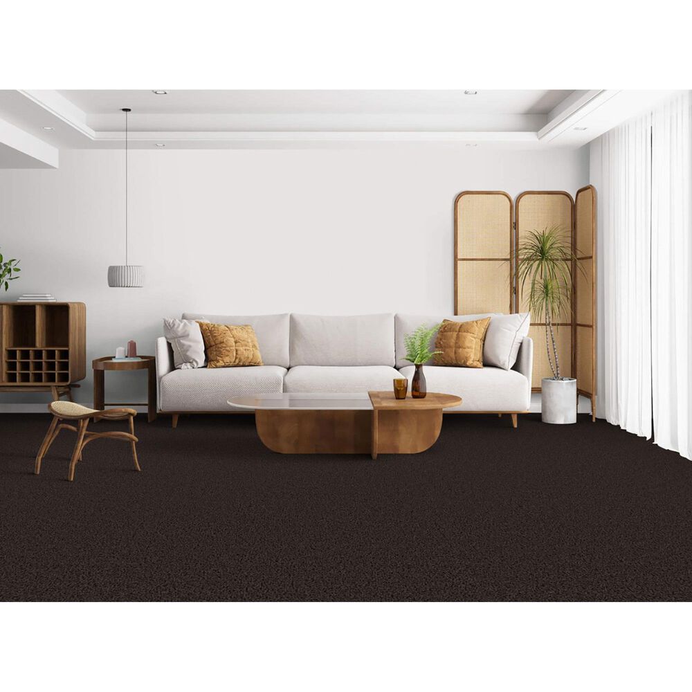 Masland Indulgence Carpet in Black Olive, , large