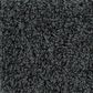 Shaw Foundations Take The Floor Twist I Carpet in Urban Studio, , large