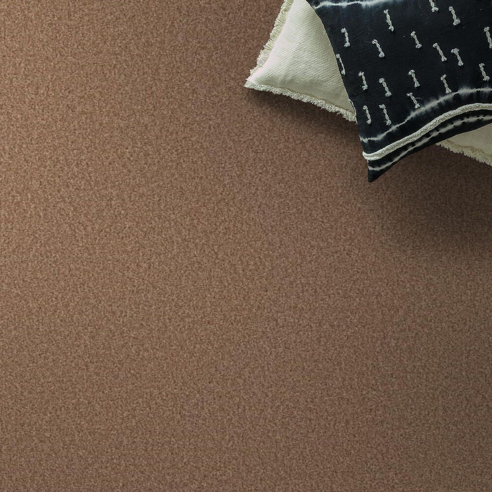 Shaw Tonal Comfort Ii Carpet in Terracotta Pot, , large