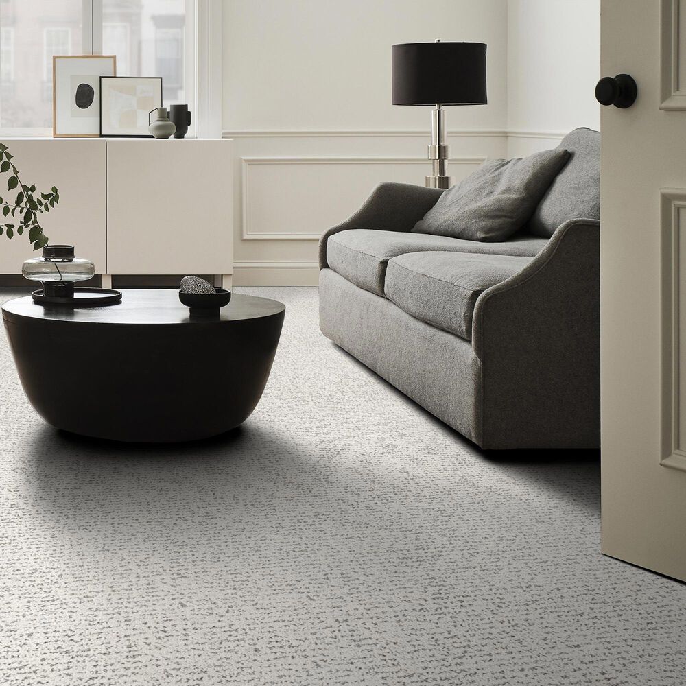 Anderson Tuftex Tangent Carpet in Granite, , large