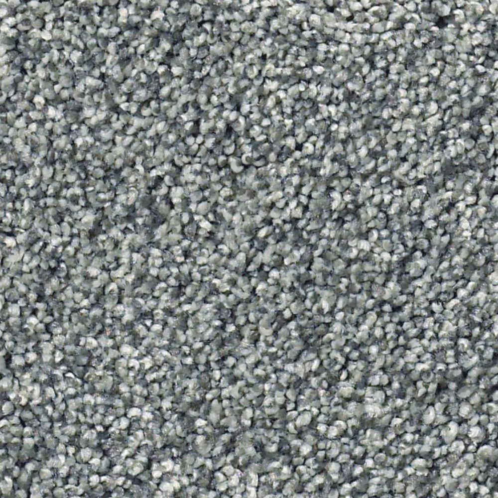Shaw Find Your Comfort TT II Carpet in Cottage Garden, , large