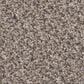 Shaw Truspirit Ii Carpet in Concrete, , large