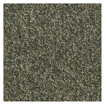 Shaw Franchise Carpet in Fernwood, , large