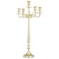 Maple and Jade Tapered 5-Plate Candelabra in Polished Gold, , large