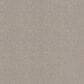 Shaw Comforting I Carpet in Anonymous, , large