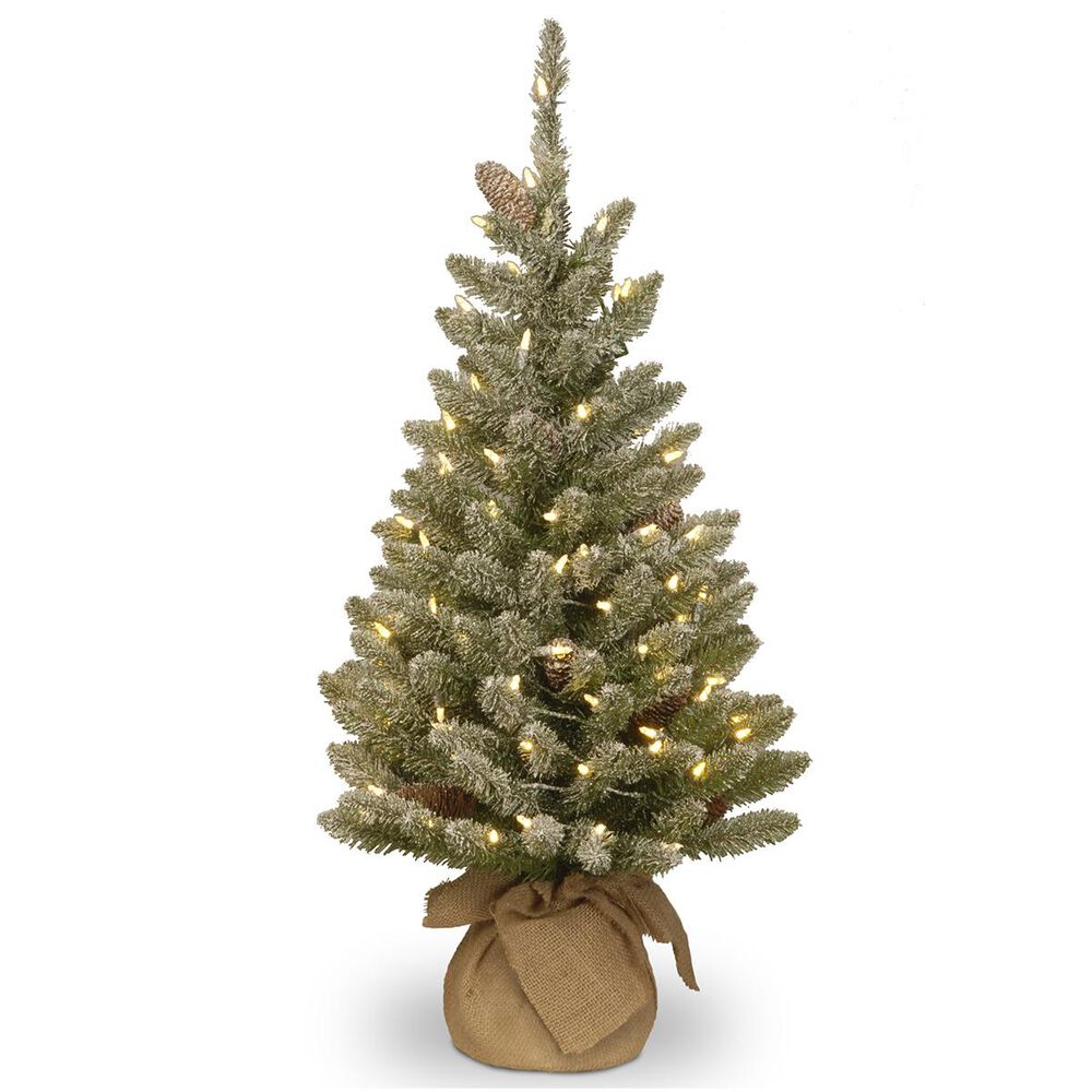 National Tree 3" Snowy Concolor Fir Tree with Battery Operated LED Lights, , large