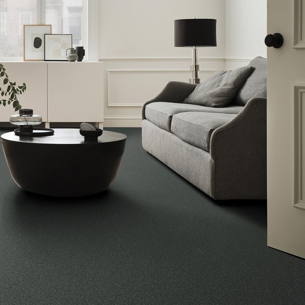 Anderson Tuftex Terra Nova Carpet in Submarine, , large
