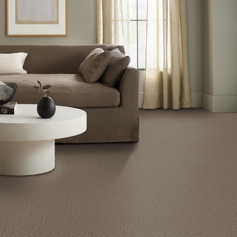 Anderson Tuftex Wyndham Estate Carpet in Smokehouse, , large