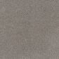Dream Weaver Beach Club III Carpet in Spanish Moss, , large